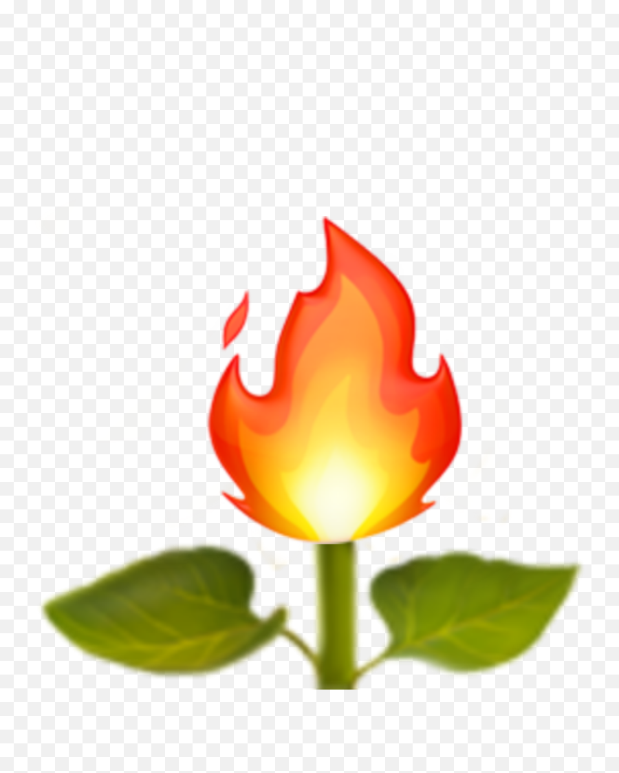 Apple Emoji Appleemoji Fire - Flame,Campfire Emoji