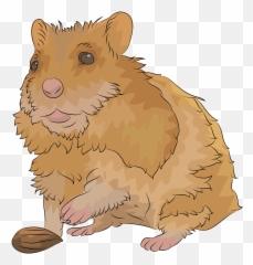 Hamster Clipart Orange - Emoji