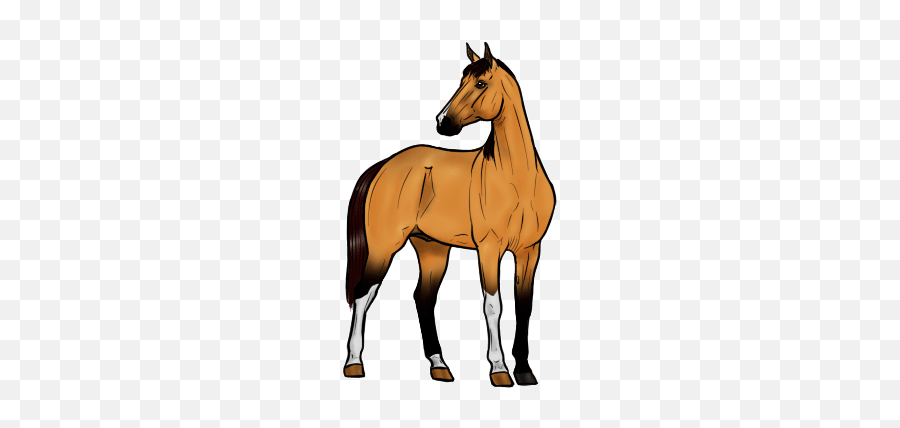 Animated Horse Gifs At Best Animations - Transparent Animated Horses Gif Emoji,Horse Emojis