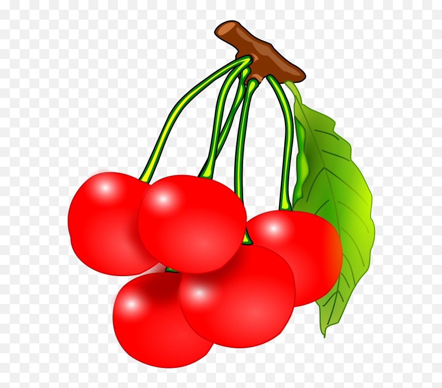 Fruit Clipart Cherry Fruit Cherry - Cherry Clipart Emoji,Cherry Emoji Png