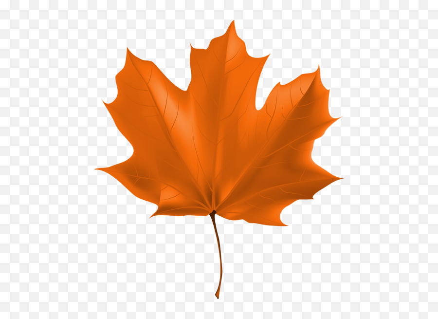 Beautiful Autumn Leaf Png Clipart Image - Clipart Autumn Leaf Png Emoji,Autumn Leaves Emoji