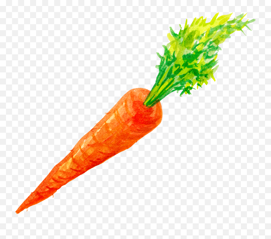 Free Carrot Transparent Background Download Free Clip Art - Carrot Png Watercolor Emoji,Carrot Emoji