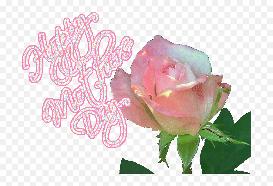 Mothers Day Glitter Gif - Garden Roses Emoji,Mother's Day Emoticons