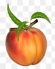 Free Peach Transparent Download Free Clip Art Free Clip - Peach Fruit Clipart Emoji,Peach Emoji Transparent