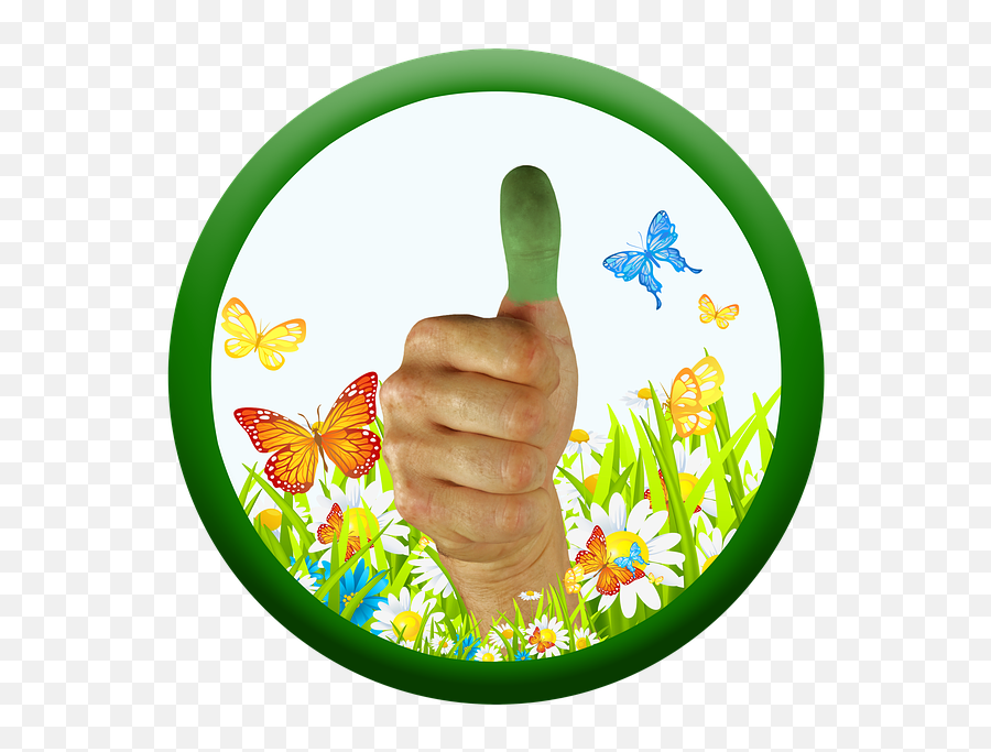 Thumb Green Thumbs Up - Green Thumb Emoji,Frog Drinking Tea Emoji