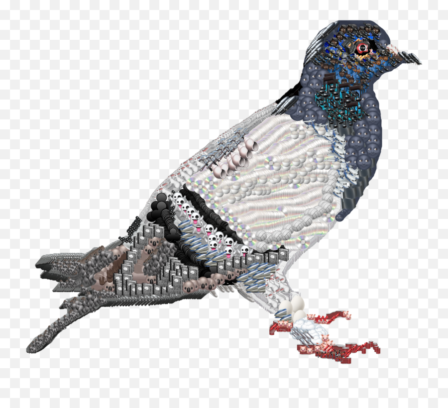 I Drew A Pigeon My Favorite Animal - Turkey Emoji,Pigeon Emoji