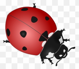 2 Free Yellow Sun Vectors - Realistic Ladybug Clip Art Emoji