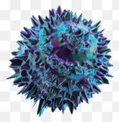 And Trending Microbe Stickers - Transparent Virus Animated Gif Emoji