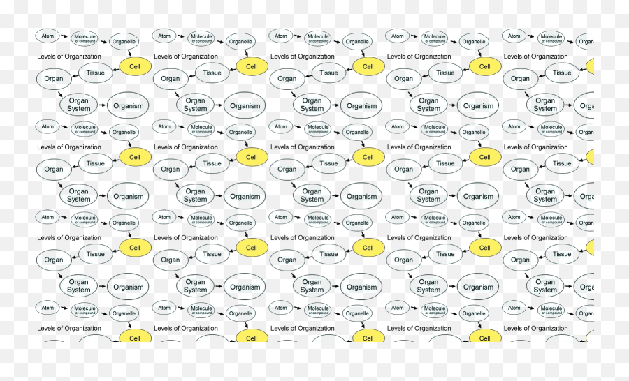 Organisation - Happy Emoji,Tissue Emoticon