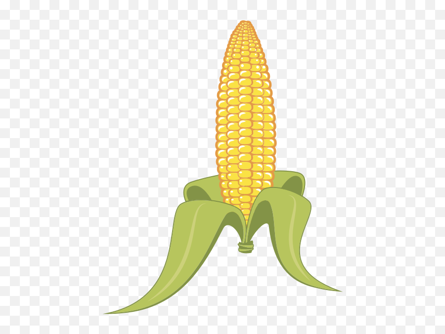 Corn - Maize Corn Png Clipart Emoji,Corn Dog Emoji