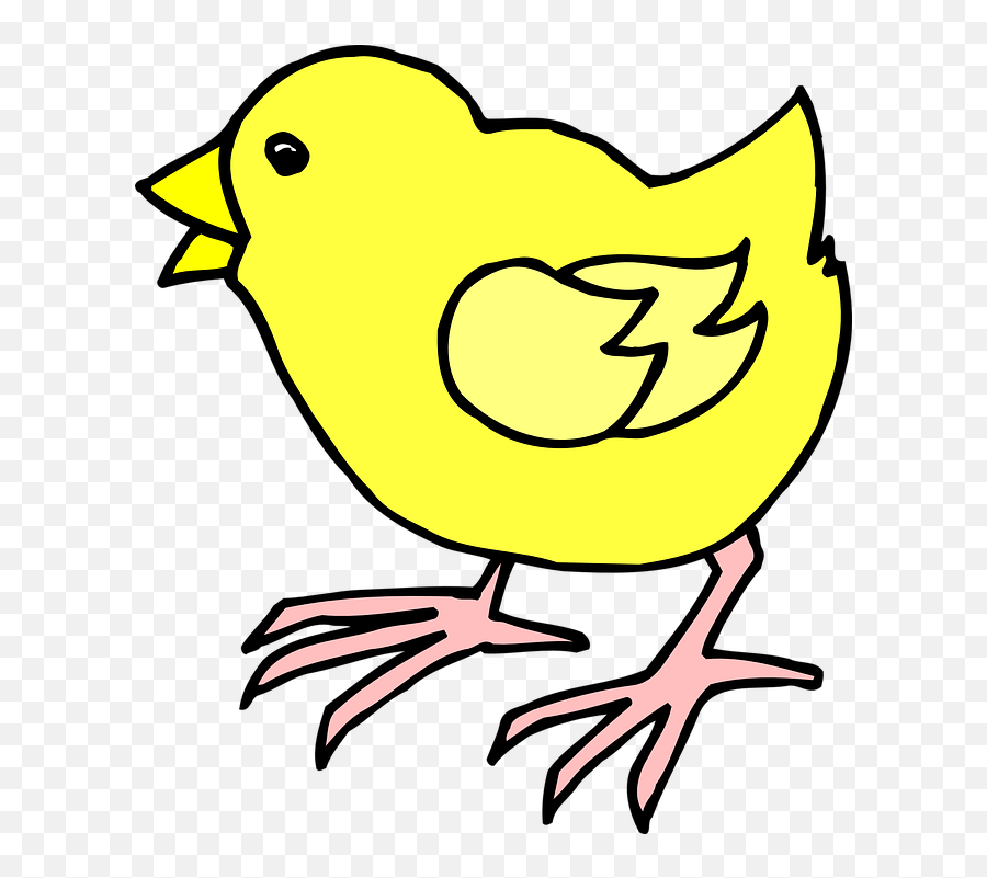 Chick Baby Chicken - Cartoon Image Of A Chick Emoji,Chicken Bone Emoji