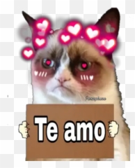 Grumpy Cat Cartel Vijiti Kwa Whatsapp - Wheels On The Bus Grumpy Cat Emoji,Grumpy Cat Emoji