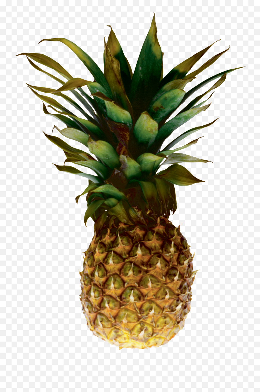 Pineapple Png Image Free Download - Png Ananas Emoji,Vegan Emoji