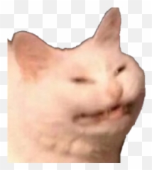 Cringe PNG and vectors for Free Download - DLPNGcom Sneezing Cat Meme Transparent Emoji
