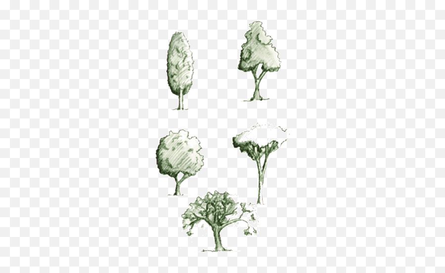Top Spectrum Activate Modem Stickers For Android Ios - Draw Trees In Section Emoji,Broccoli Emoji