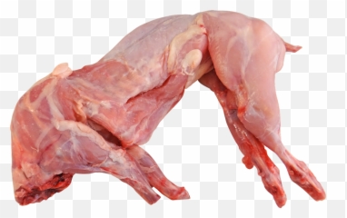 Rabbit Whole Raw Cooking Food - Rabbit Meat Png Emoji,Emoji Hand And Chicken