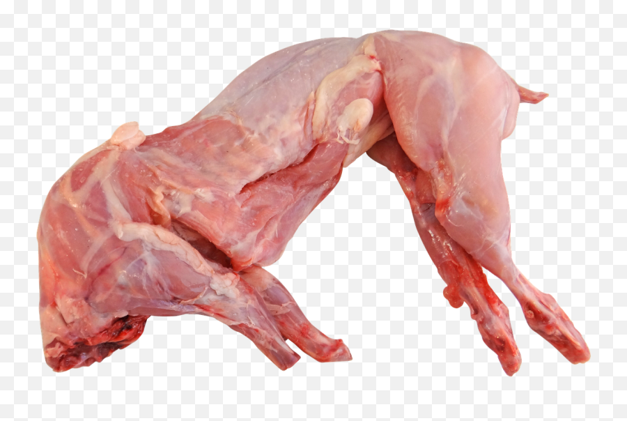Rabbit Whole Raw Cooking Food - Rabbit Meat Png Emoji,Emoji Hand And Chicken