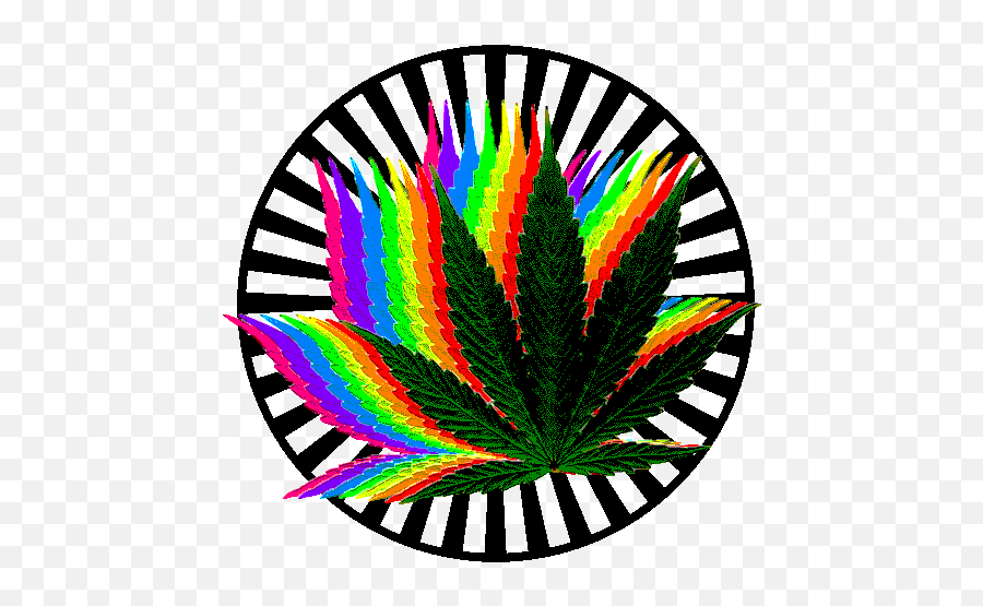 Animated Rainbow Pattern From Marijuana Leaf - Moyie Emoji,Weed Leaf Emoji