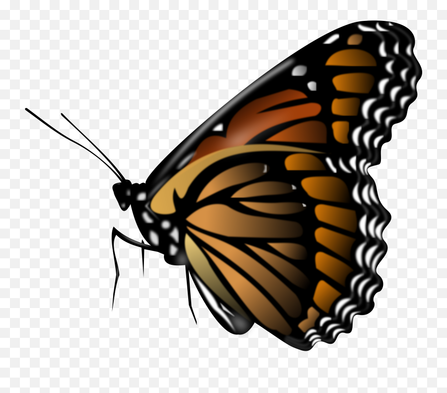 30 Monarch Butterfly Clipart Emoji Free Clip Art Stock,Butterfly Emoji