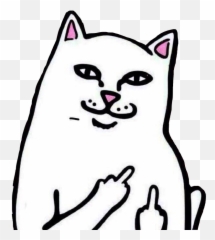 Cat Middle Finger Clipart - Funny Cat With Middle Finger Emoji,Bird Finger Emoji