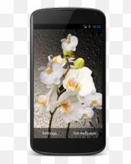 3d Live Wallpaper 3 - Smartphone Emoji,Orchid Emoji