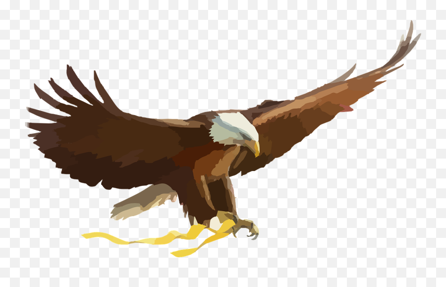 Bald Eagle Eagle Bird Of Prey Raptor - Eagle Cartoon Png Emoji,Virgin Islands Flag Emoji