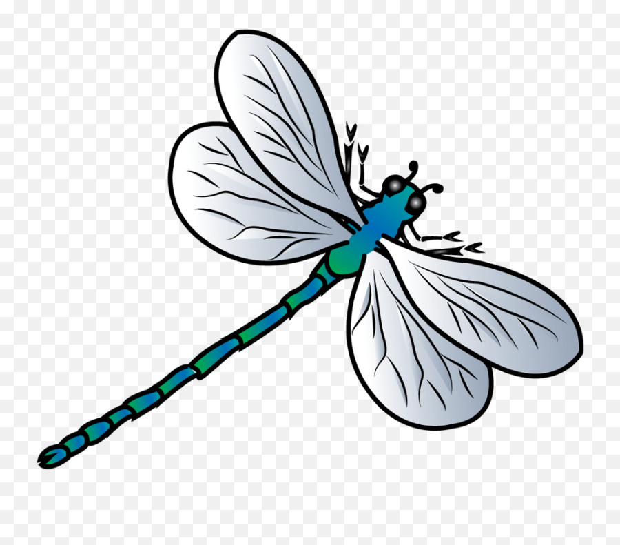 Transparent Background Clip Art Dragonfly - Transparent Dragonfly Clipart Emoji,Dragonfly Emoji