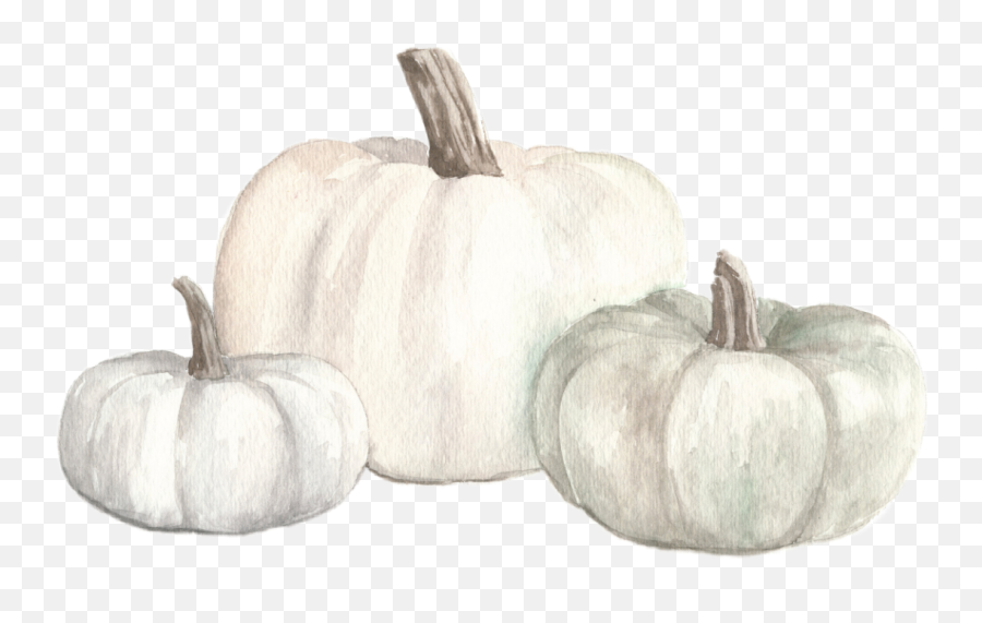Watercolor White Pumpkins Fall Autumn Png - Transparent Background White Pumpkin Emoji,Emoji Pumpkins