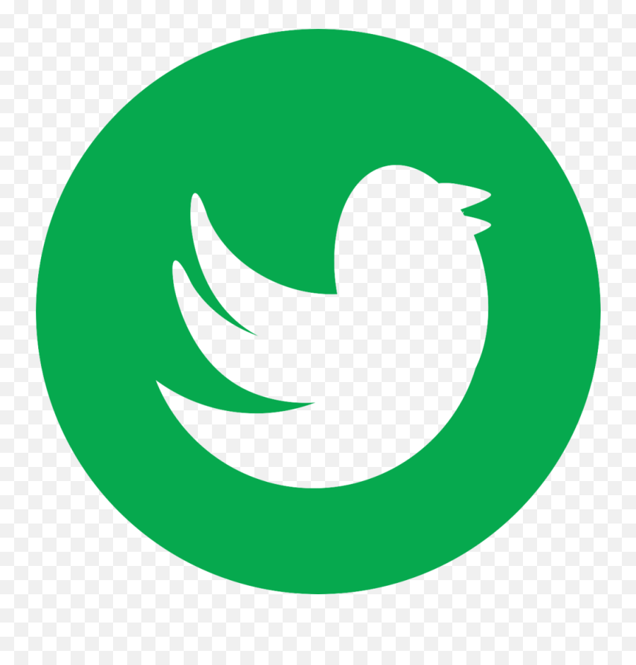 Green Twitter - Camera Icon Clipart Full Size Clipart Round White Twitter Icon Png Emoji,Camera Monkey Emoji