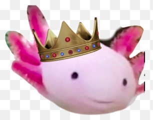 axolotl Sticker by None of your business - Soft Emoji