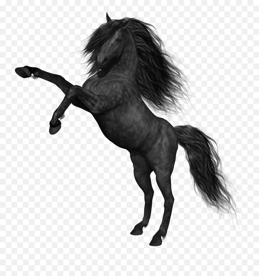 Horses - Black Horse Png Emoji,Horse Emoticons