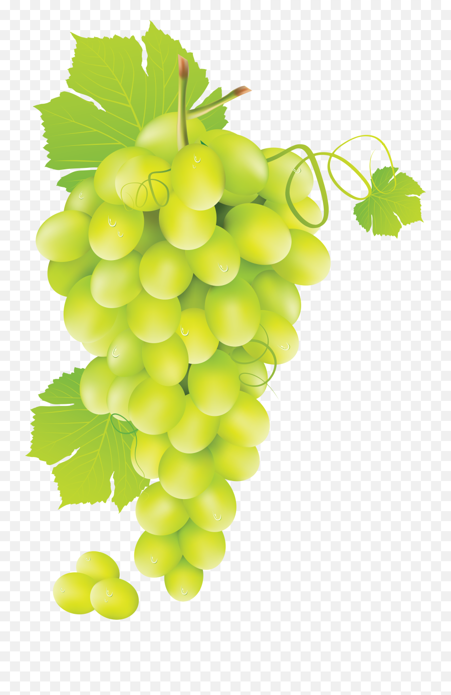 Single Grape Clipart No Background Big - Transparent Background Green Grapes Png Emoji,Grape Emoji Png