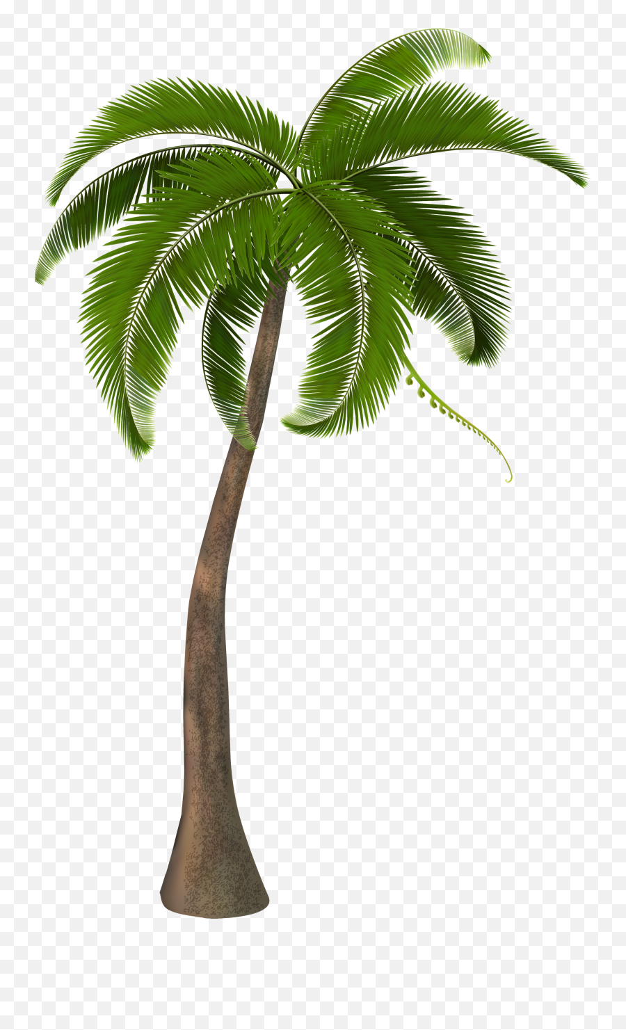 Palm Trees Clip Art Units 11 Clipart The Gospel Project - Palm Trees Png Hd Emoji,Palm Tree Emoji