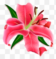 Flowers Lilly - Lily Emoji