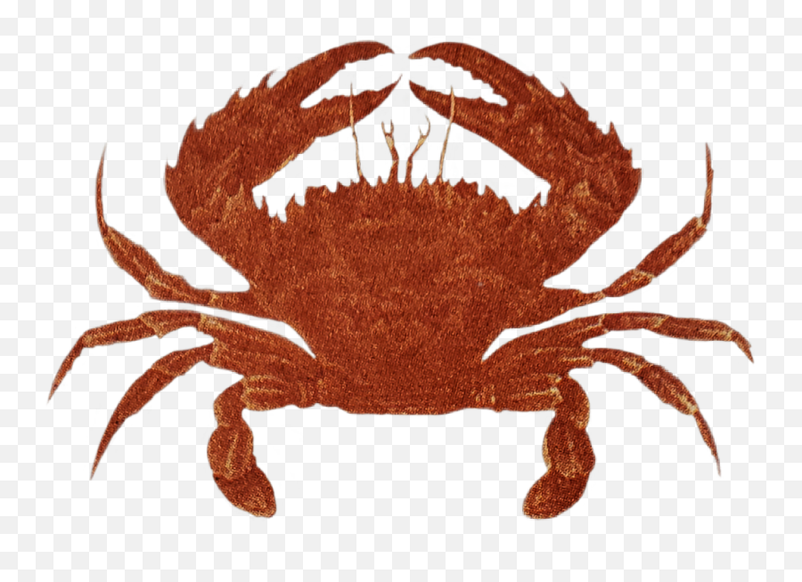 Crab Zodiacsign Cancer Brown Redbrown - Emperor Of All Maladies Emoji,Crab Emoji