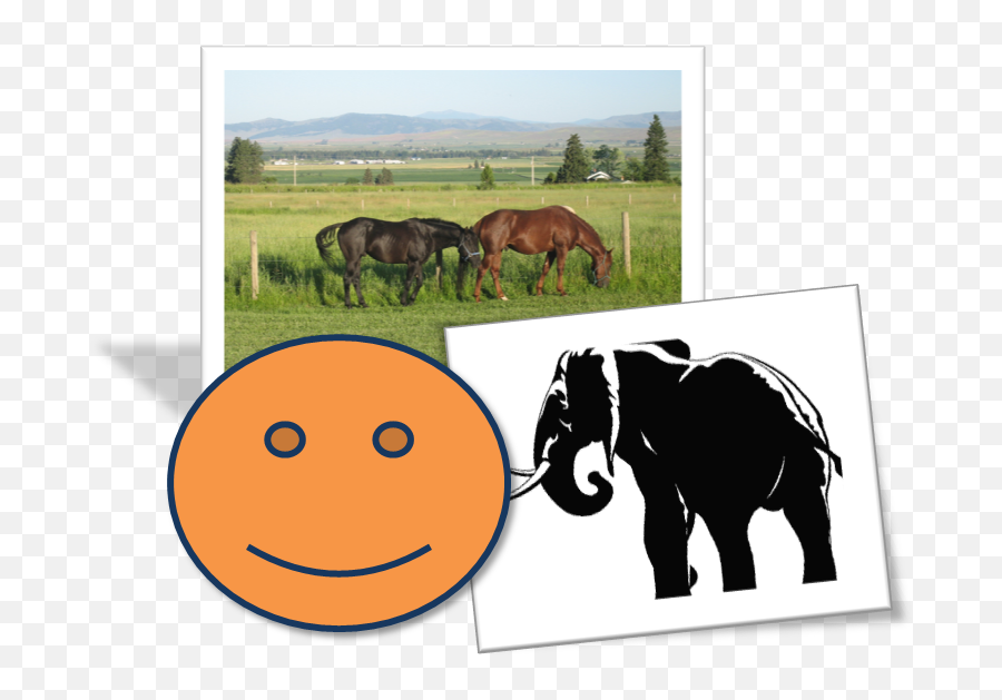 3 - Mane Emoji,Elephant Emoticon