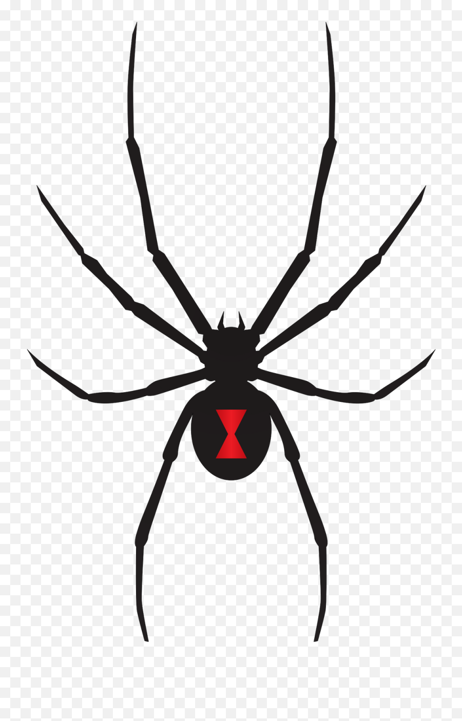 Black Widow Clipart Pack - Transparent Background Black Widow Spider Png Emoji,Black Widow Emoji