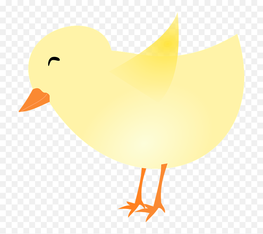 Baby Chick - Concepto De Valor En El Arte Emoji,Chicken Bone Emoji