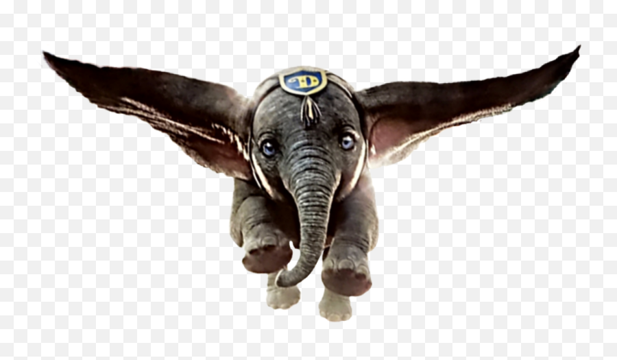 Elephant Dumbo Flyingelephant Circus Movie - Djumbo Png Emoji,Elephant Emoji