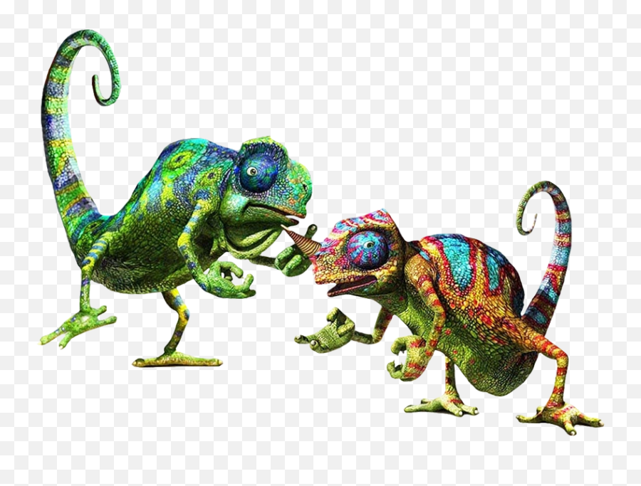 Categorylizards Disney Wiki Fandom - Cloak And Camo The Wild Emoji,Lizard Emoji