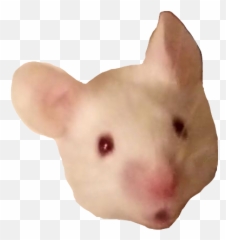 Oh My Goodness - Rat Emoji,Mice Emoji