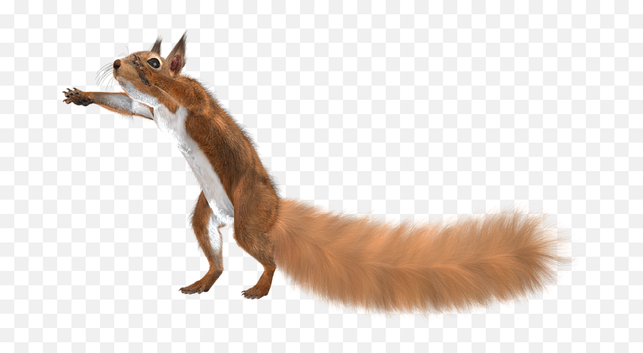 Free Squirrel Animal Illustrations - Swift Fox Emoji,Rat Emoticon