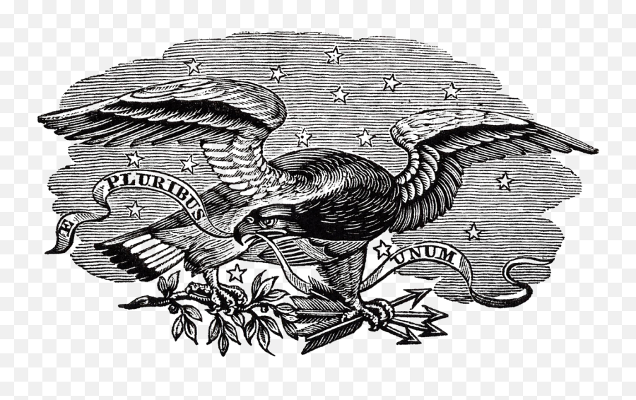 Eagle Black Decorative Bird Symbol - Illustration Emoji,Virgin Islands Flag Emoji
