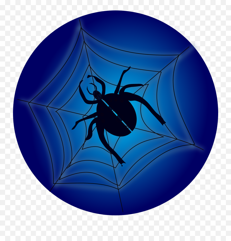 Crawl Insect Spider Web Spiderweb - Spider Web Emoji,Emoji Ant Fork Knife
