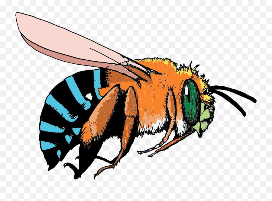 Bee Emoji - Blue And Orange Bee Hd Png Download Original Blue And Orange Bee,Bee Emoji Png