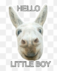 Wpsticker - Good Night Donkey Emoji,Mule Emoji