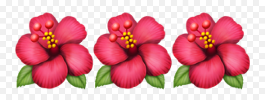 Flower Emoji Sticker - Hibiscus Png Flower Emoji Apple,Floweremoji