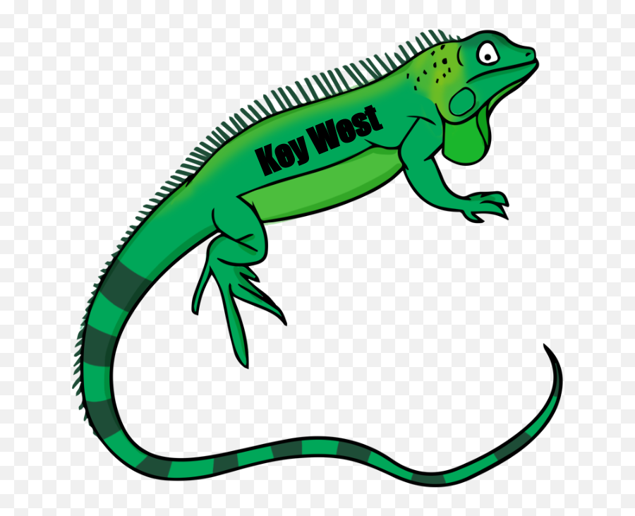 Lizard Green Iguana Clip Art Reptile Openclipart - Green Iguana Clip Art Emoji,Lizard Emoji