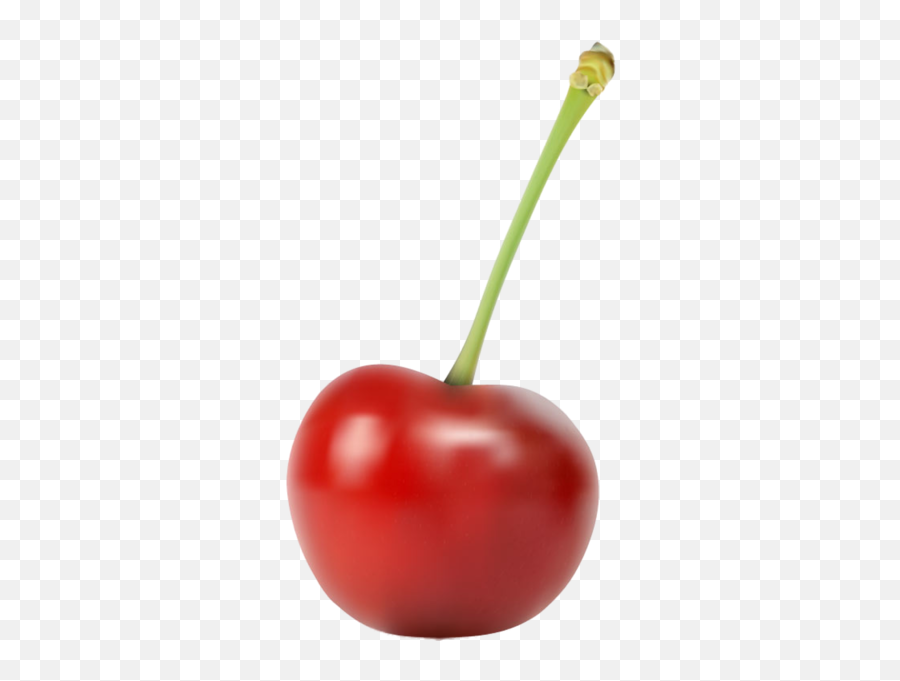 Cherry - Cherry Vector Emoji,Cherry Emoji Png
