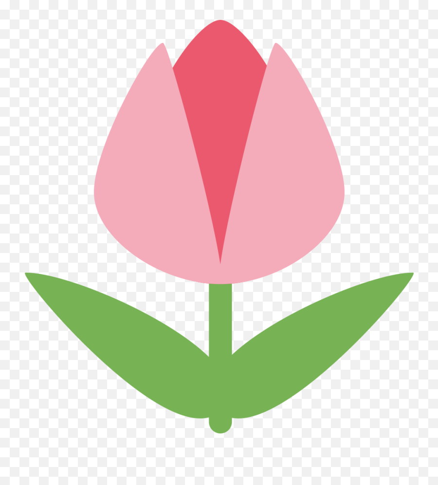 Twemoji2 1f337 - Tulip Emoticon Emoji,Emoticone